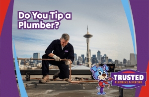 Gallery image 13 — licensed plumber near me