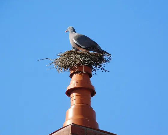 Gallery image 32 — chimney restoration in Norwalk