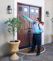 termite control Houston