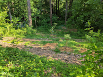 Gallery image 1 — Atlanta edible garden installation