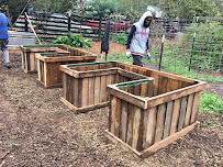 Gallery image 9 — Atlanta edible garden installation
