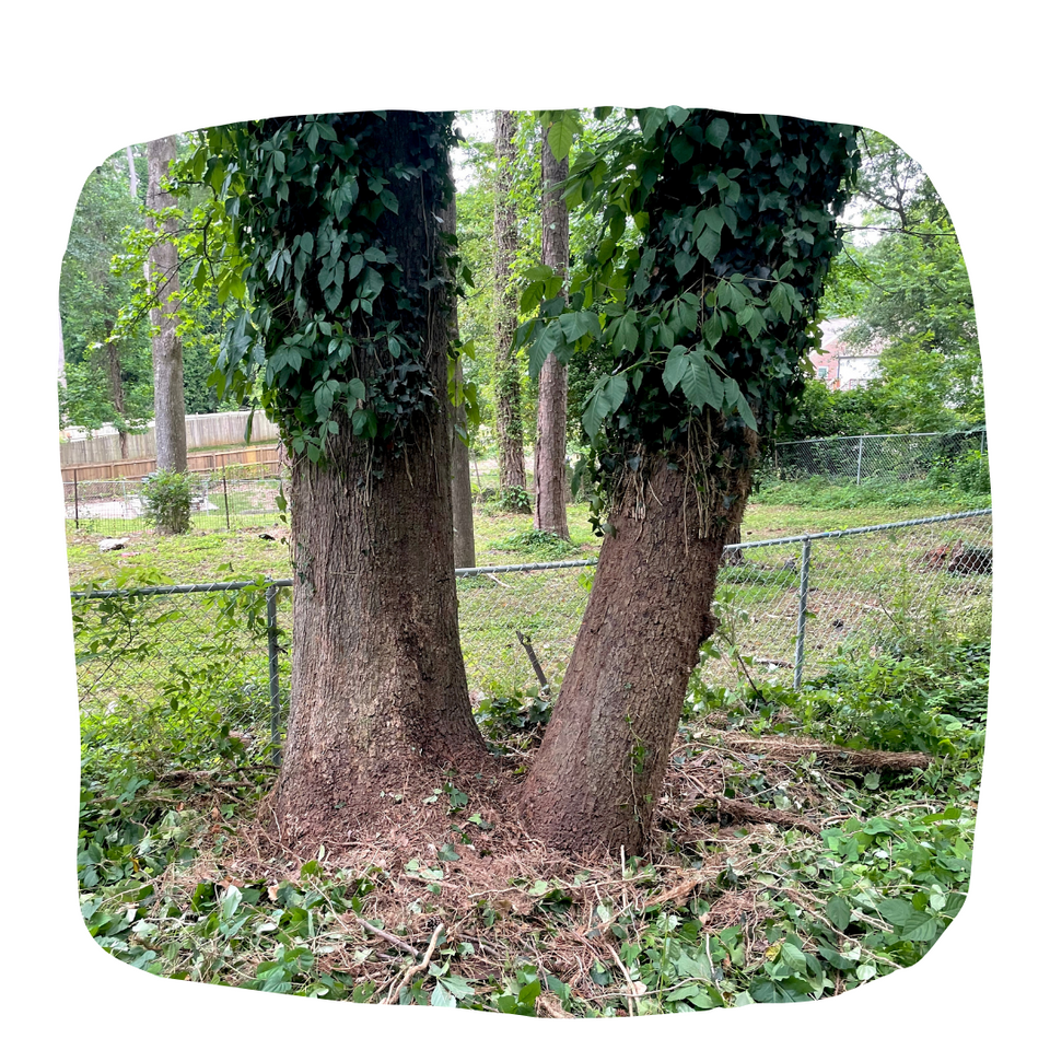 Gallery image 10 — Atlanta edible garden installation
