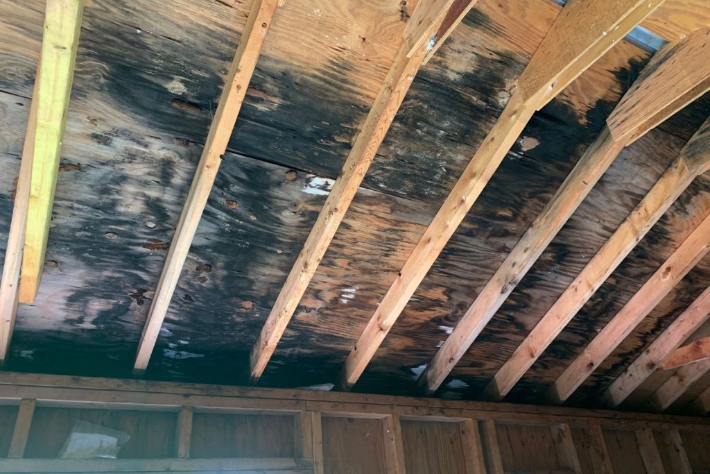 Gallery image 3 — vapor barrier installation Colorado