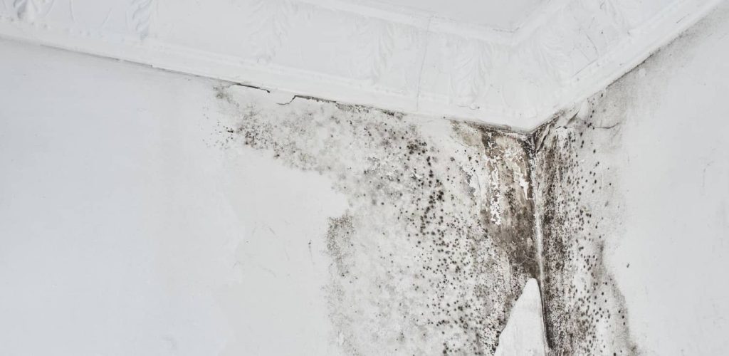 vapor barrier installation Colorado