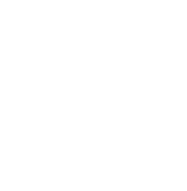 Gallery image 8 — affordable pest control Houston