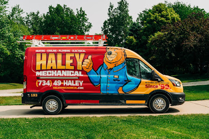 affordable electrical services Chelsea
