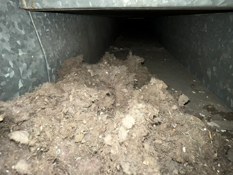 Gallery image 5 — cheap air duct cleaning Canton