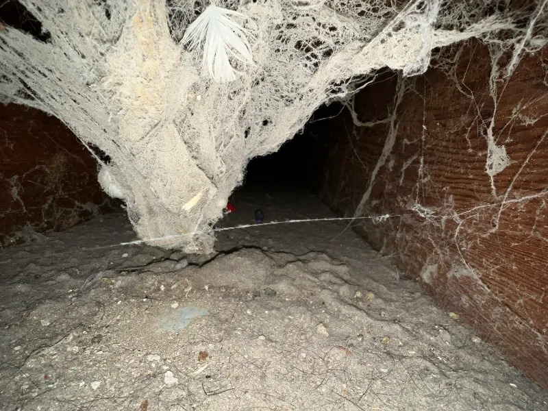 Gallery image 3 — cheap air duct cleaning Canton