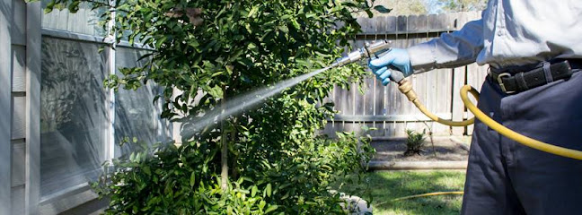 About bed bug control Houston