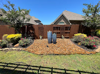 About termite control in Pearland