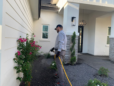 Gallery image 2 — termite control in Pearland