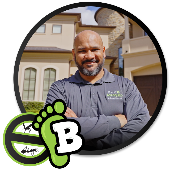 Gallery image 6 — termite control in Pearland