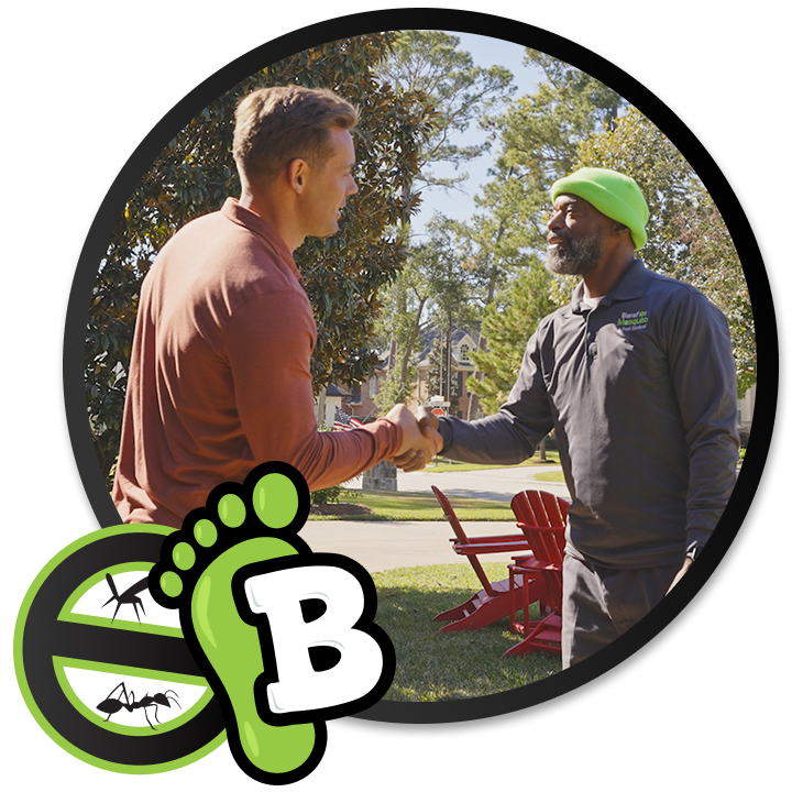 Gallery image 7 — termite control in Pearland