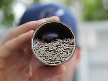 Gallery image 7 — drain cleaning near me Bay Area