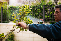 Gallery image 4 — Prime Houston Pest Control