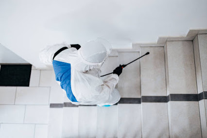 Gallery image 5 — Prime Houston Pest Control