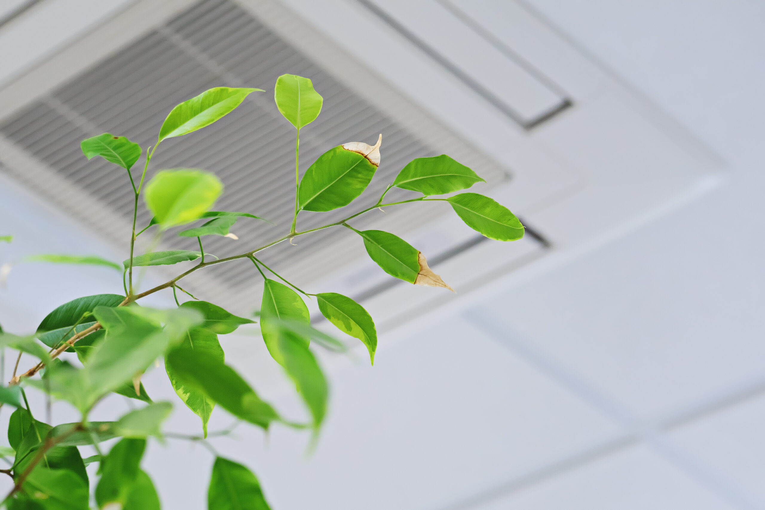 HVAC installation near me
