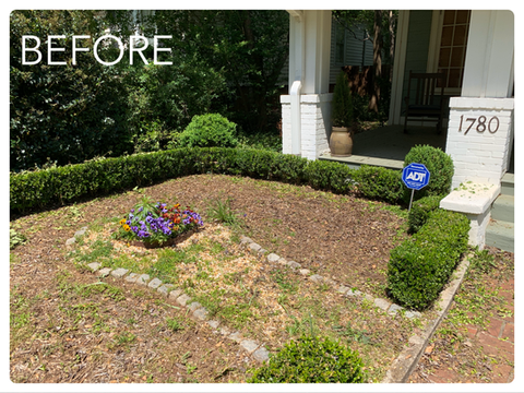 Gallery image 3 — best lawn care in Grant Park