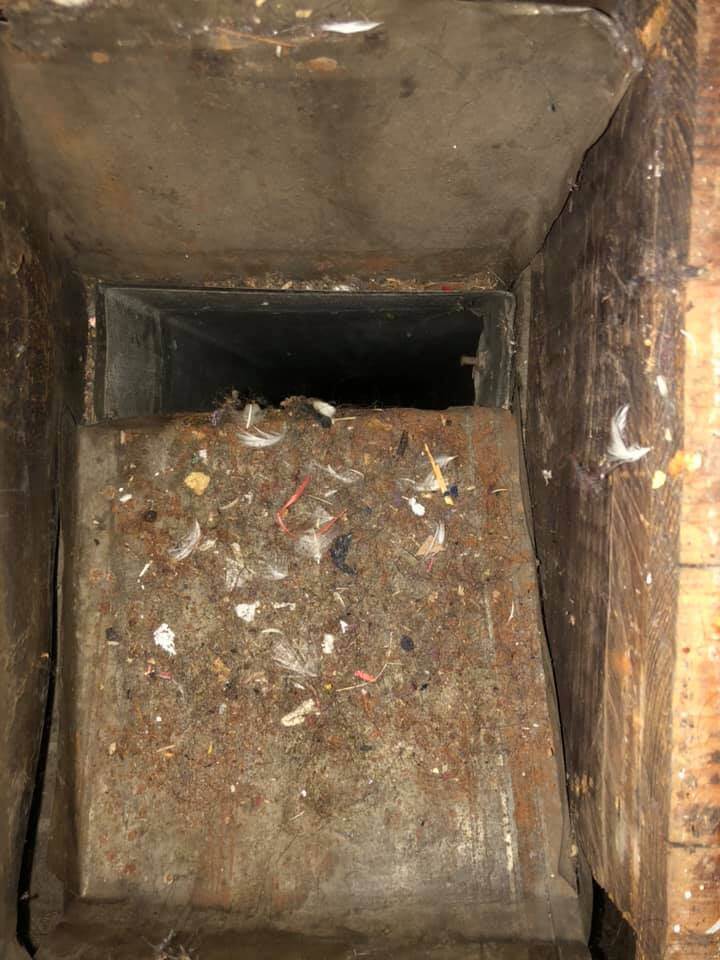 Gallery image 4 — air duct cleaning Lansing Area cost