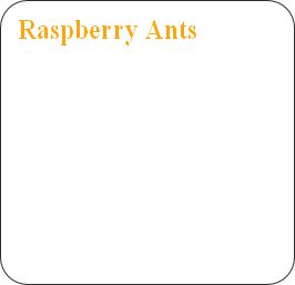 Gallery image 14 — Texas Exterminators