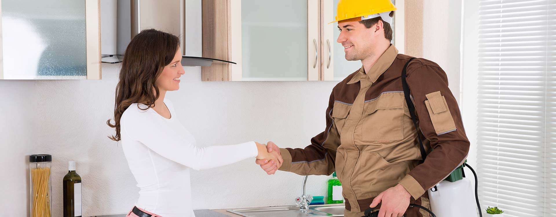 Gallery image 6 — Service Shield Pest Control
