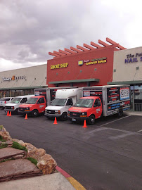 residential mold removal near me