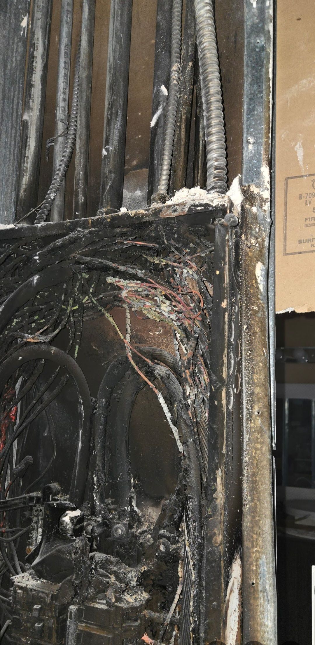 Gallery image 7 — residential mold removal near me