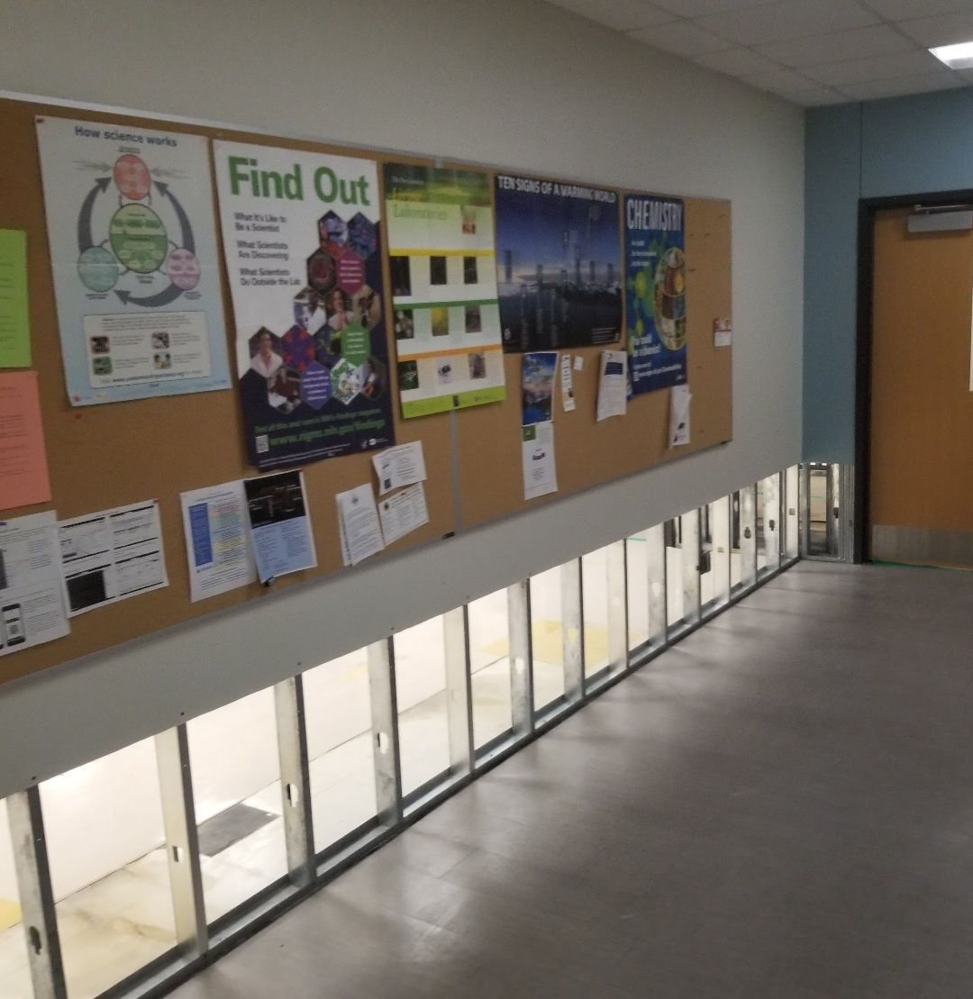 Gallery image 12 — residential mold removal near me