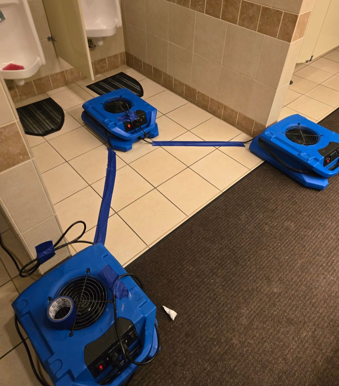 Gallery image 1 — residential mold removal near me