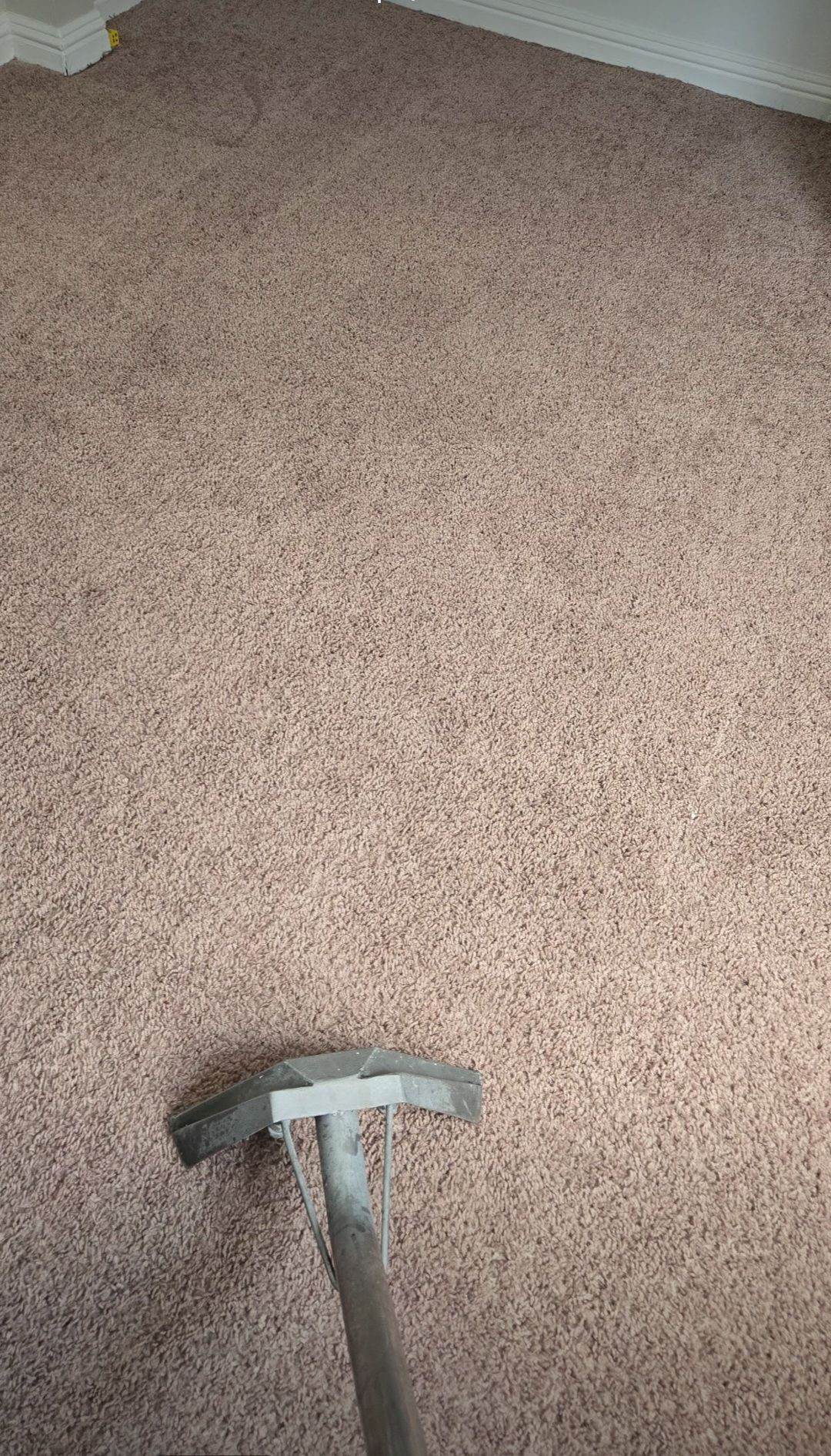 Gallery image 16 — residential mold removal near me