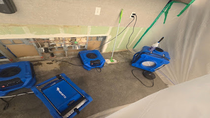 About residential mold removal near me