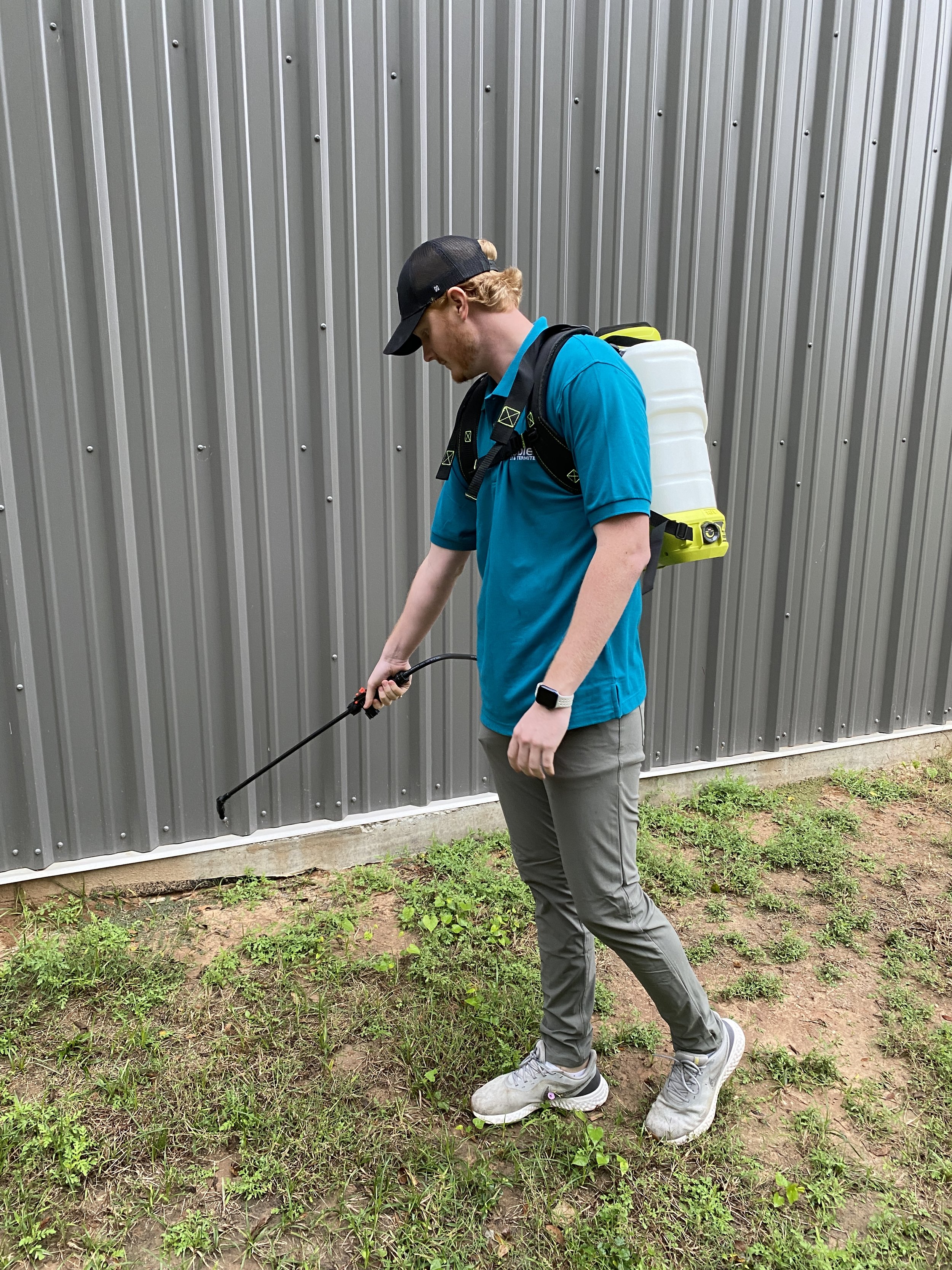Gallery image 2 — scorpion exterminator Houston
