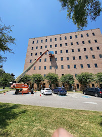 best bat removal in Houston