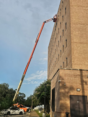 Gallery image 5 — bat removal experts Houston