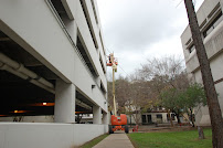 Gallery image 8 — bat removal experts Houston