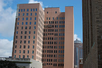 Gallery image 10 — bat removal experts Houston