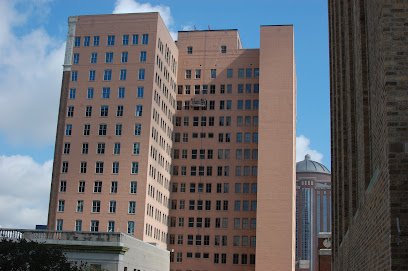bat removal experts Houston