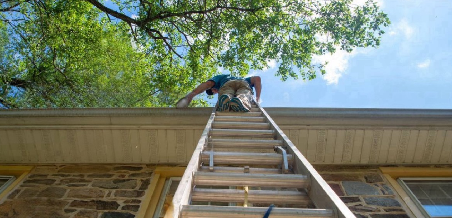Gallery image 2 — dead animal removal Houston