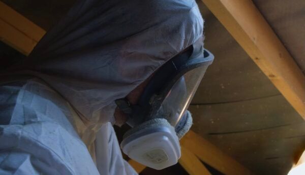 Gallery image 5 — dead animal removal Houston