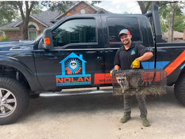 Gallery image 6 — dead animal removal Houston