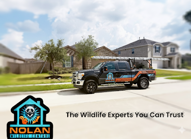 Gallery image 8 — dead animal removal Houston