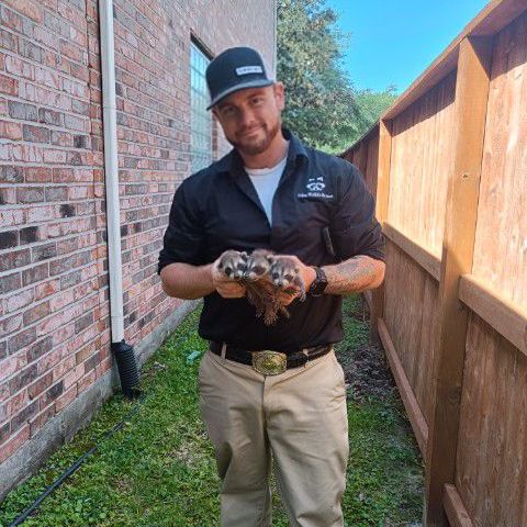 Gallery image 9 — dead animal removal Houston