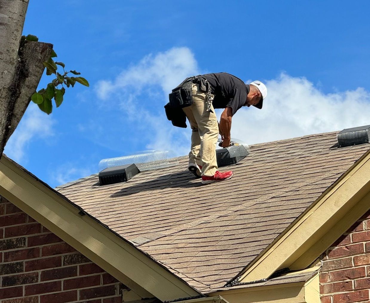 Gallery image 10 — dead animal removal Houston