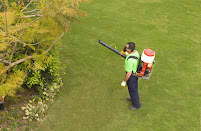 Gallery image 2 — free pest inspection near me