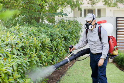 Gallery image 5 — free pest inspection near me
