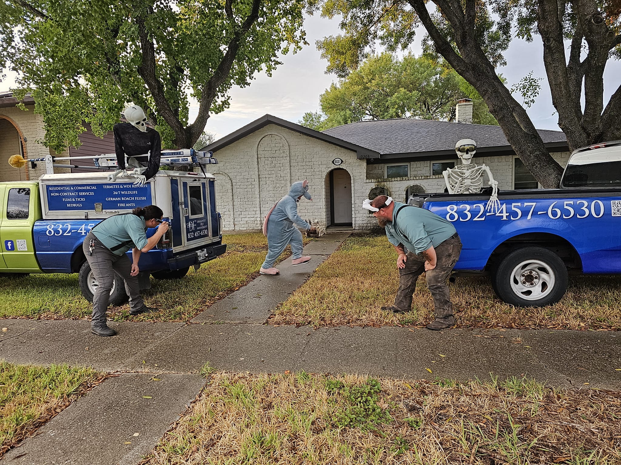 Gallery image 5 — fire ant control in South Belt, TX
