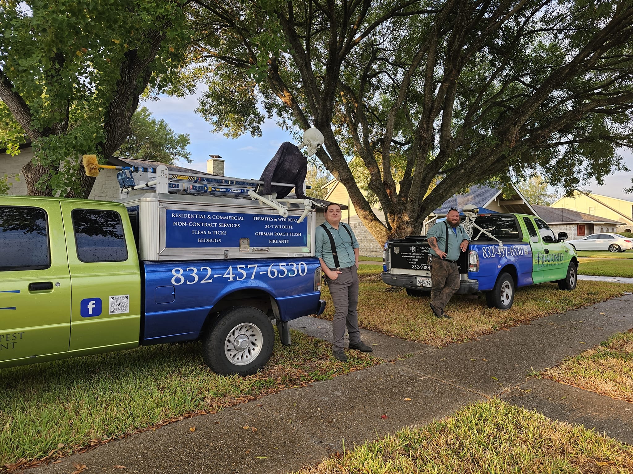 fire ant control in South Belt, TX