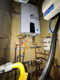 About Shark Plumbing Services