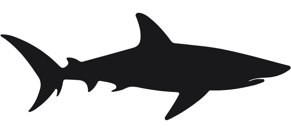 Gallery image 3 — Shark Plumbing Services