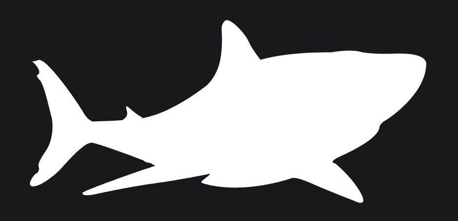Gallery image 11 — Shark Plumbing Services